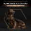 Pro Plan Duo Délice Small & Mini pienso con buey para perros indicador imagen numero 3